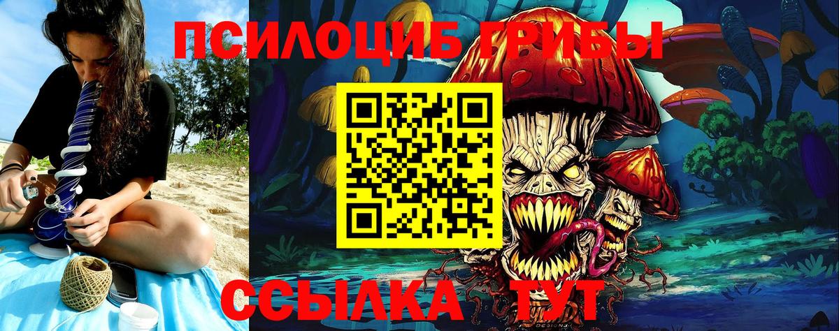 Галлюциногенные грибы Psilocybe Нерюнгри