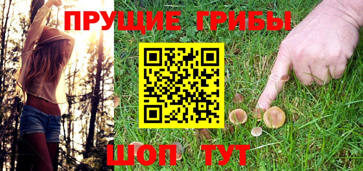 Нерюнгри  Галлюциногенные грибы MAGIC MUSHROOMS  Вход с VPN 